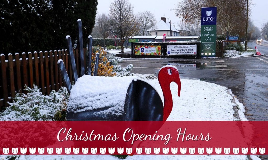 Christmas Opening Hours