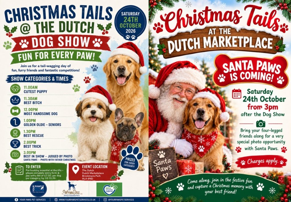 Dog Show / Santa Paws